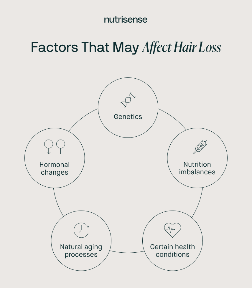 a chart of factors that may affect hair loss