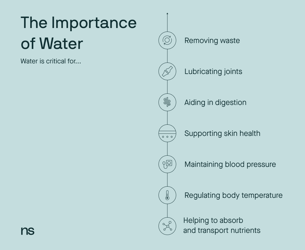 a list of reasons why water is important