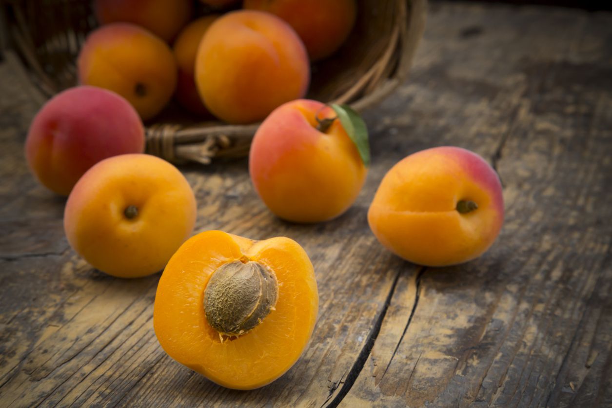 Apricots and apricot pits