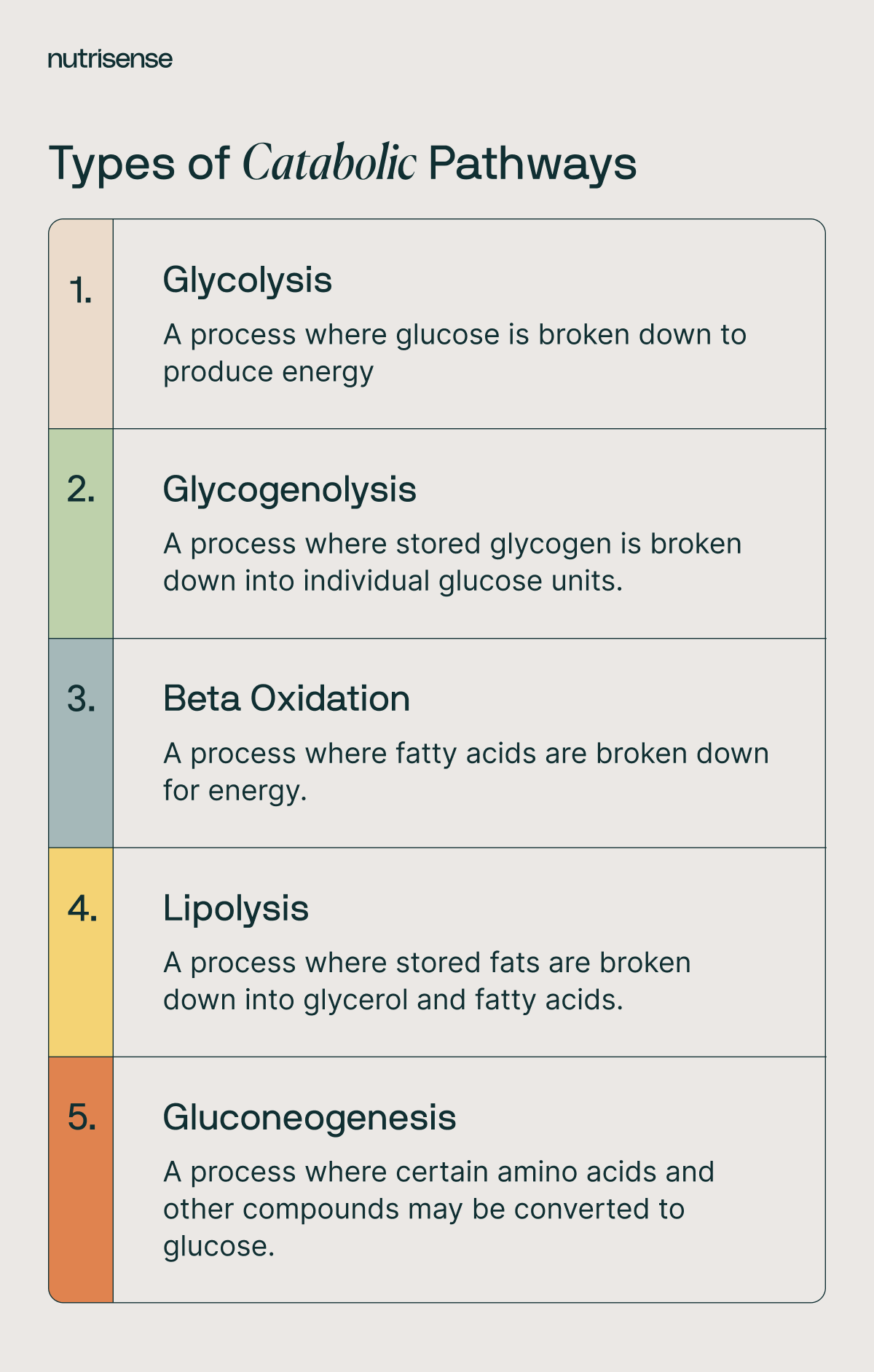 types of catabolic pathways