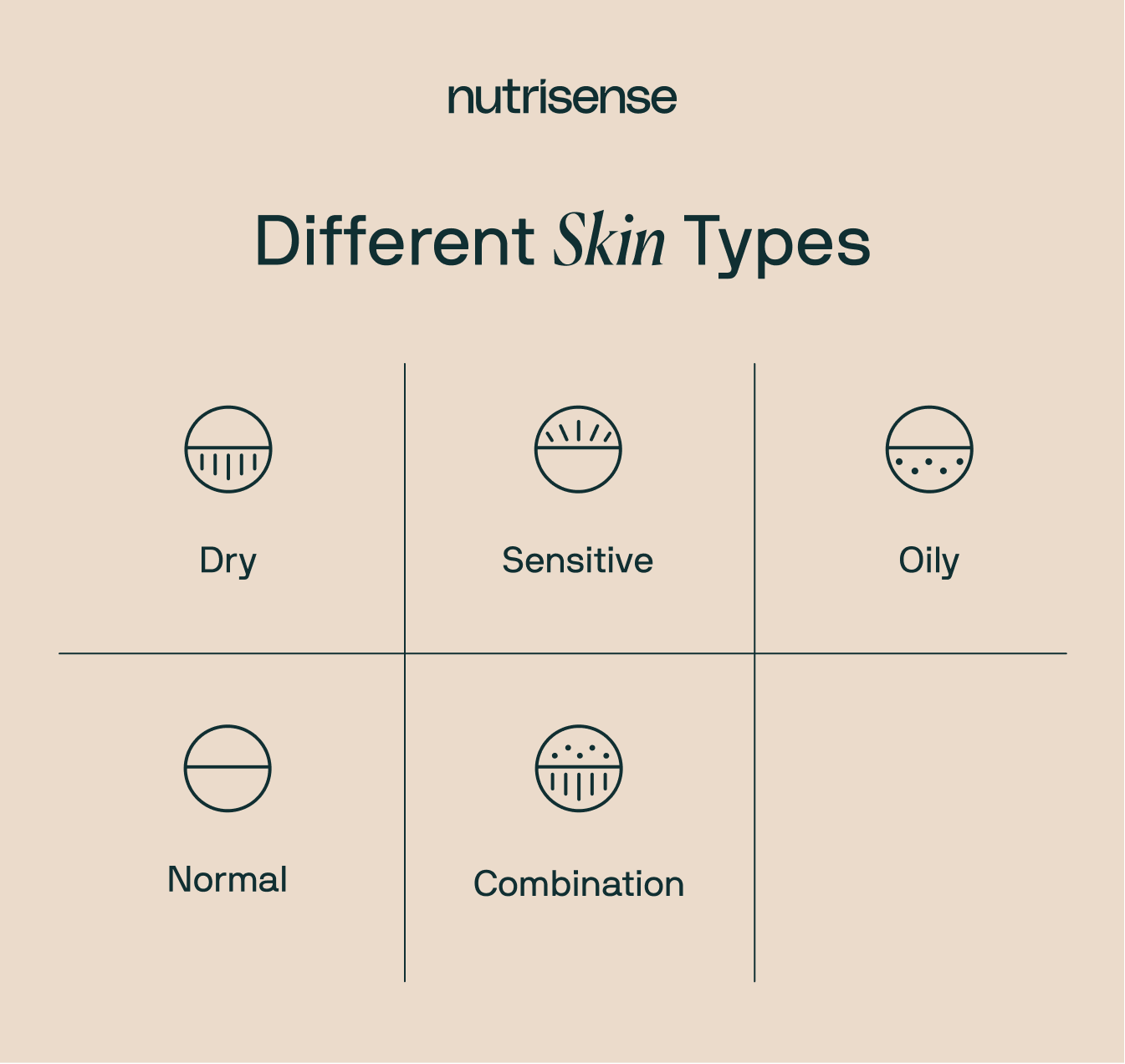 different skin types graphic